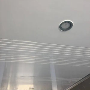 20-Fuß-Kühlcontainer für den Hausgebrauch